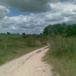 Buscando caminos Buscando caminos