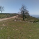 Por pistas en Gredos Por pistas en Gredos