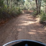 Bosques y montañas