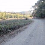 Camino rápido en el algarve