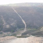 Divertido cortafuegos