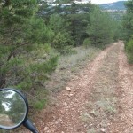 Bonitos caminos