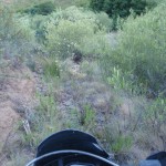 El camino trail se pierde