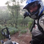 Cortafuegos Fallido pero en pié