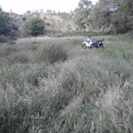 BMW G650X Challenge contenta