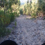 Bajada de piedras y ramas