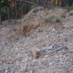 Bajada de piedras y ramas