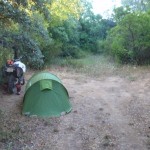Campamento improvisado II