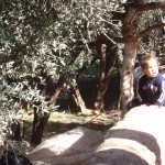 Campos de Missour
