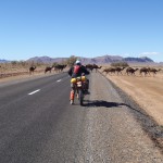 camellos marruecos moto trail